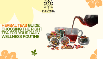 Herbal Teas Guide: Choosing the Right Tea for Your Daily Wellness Routine
