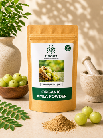 Amla: The Ayurvedic Superfruit Used for Centuries in Traditional Wellness