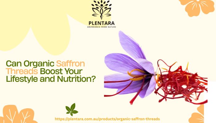 Can Saffron Threads Boost Your Lifestyle and Nutrition?