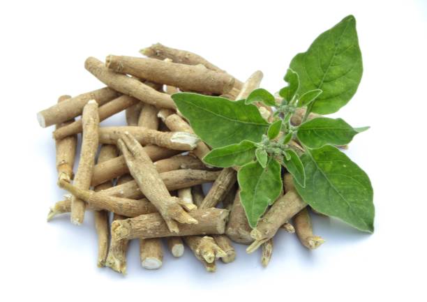Organic Aswagandha Powder