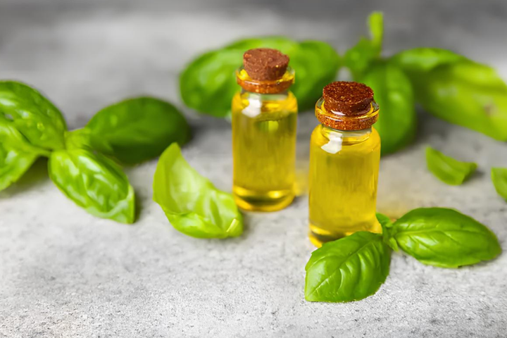 Basil Oil 