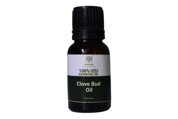 Clove Bud Oil