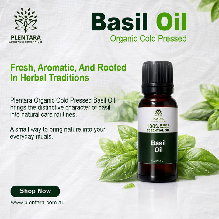 Basil Oil - Organic Cold Pressed